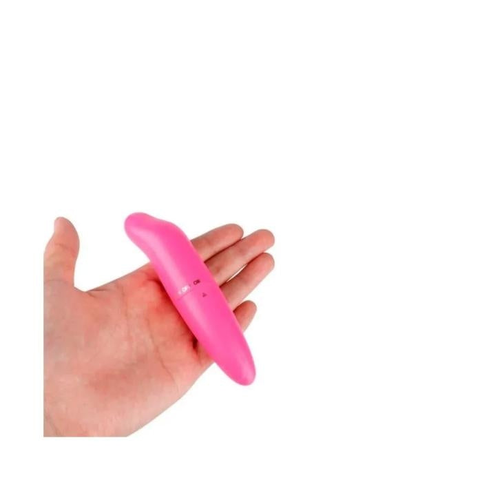 Mini Vibrador - Delfin